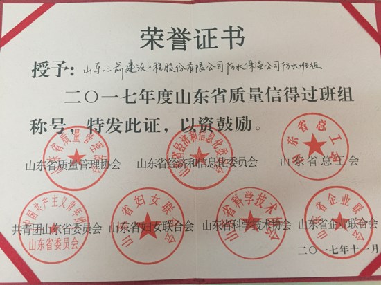 菲律宾亚星防水公司喜获2017年度山东省质量信得过班组称号